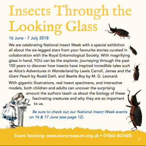 Screen+Shot+2018-06-02+at+08.31.31