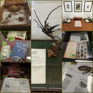 36882450_10216826234514370_4057320227162030080_n